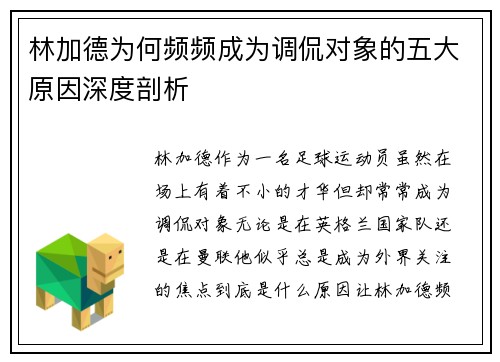 林加德为何频频成为调侃对象的五大原因深度剖析