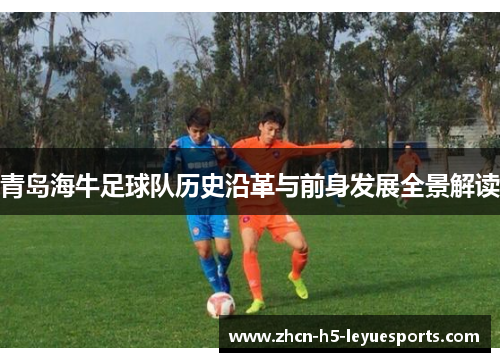 青岛海牛足球队历史沿革与前身发展全景解读