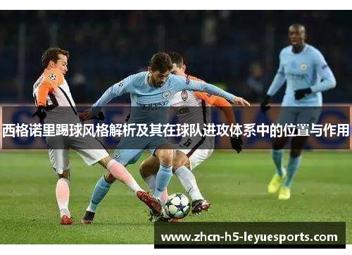 西格诺里踢球风格解析及其在球队进攻体系中的位置与作用