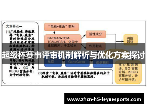 超级杯赛事评审机制解析与优化方案探讨