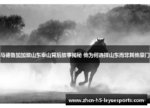 马德鲁加加盟山东泰山背后故事揭秘 他为何选择山东而非其他豪门
